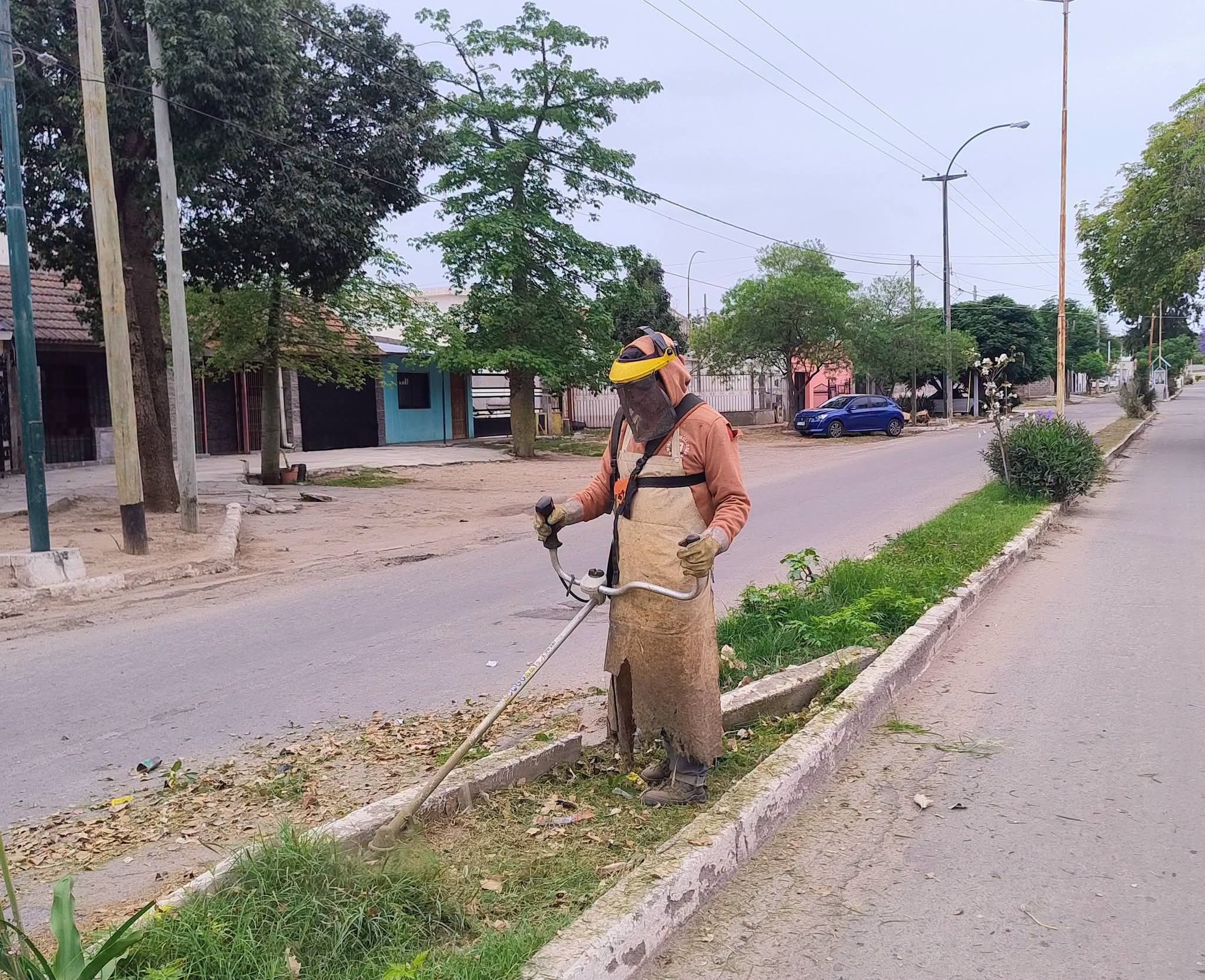 Mantenimiento de Espacios Verdes ♻️